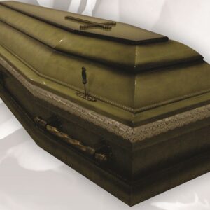 Домовина «VIP з відтінком»