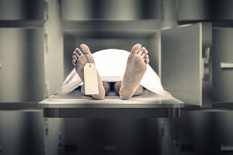 Збереження тіла в холодильній камері